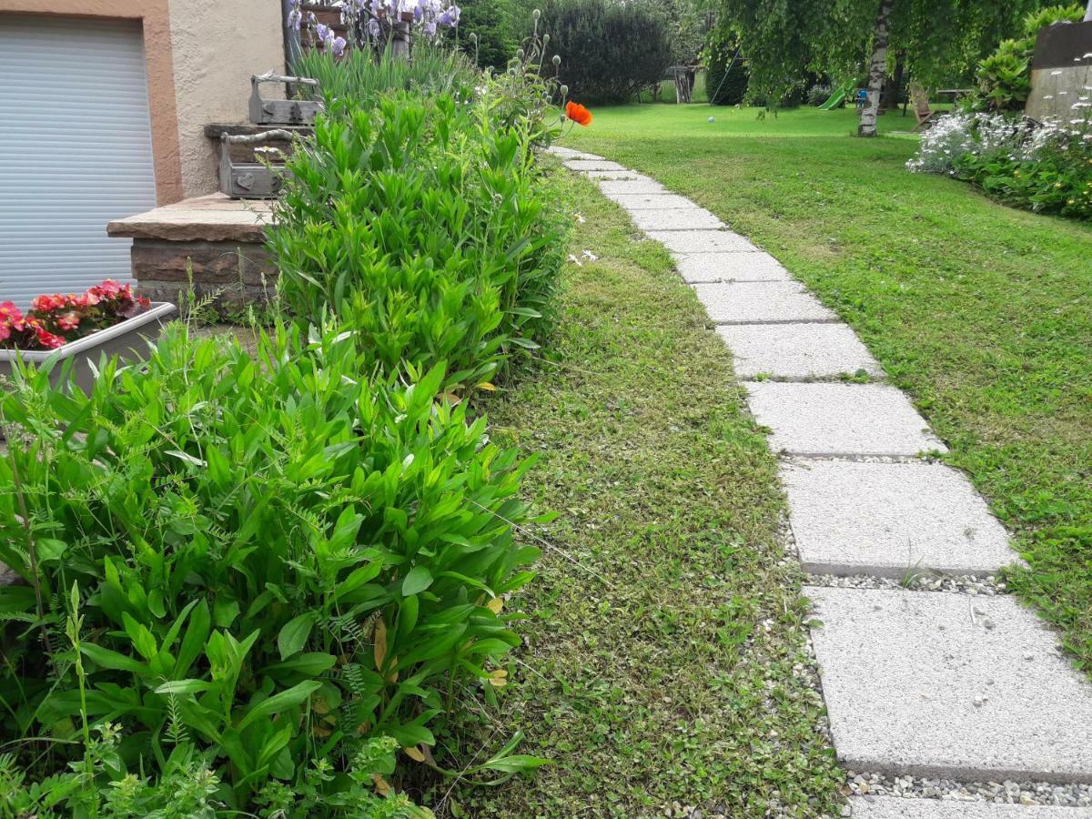 Gite Du Gros Pommier Saulxures Εξωτερικό φωτογραφία